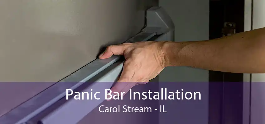 Panic Bar Installation Carol Stream - IL