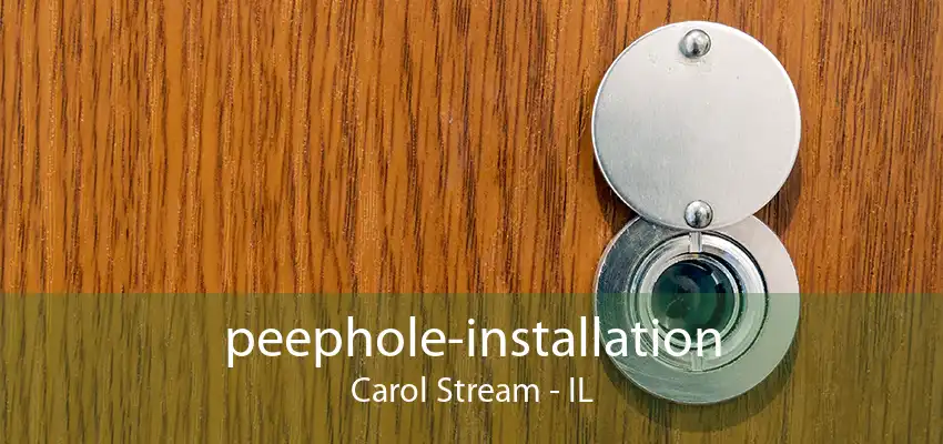 peephole-installation Carol Stream - IL