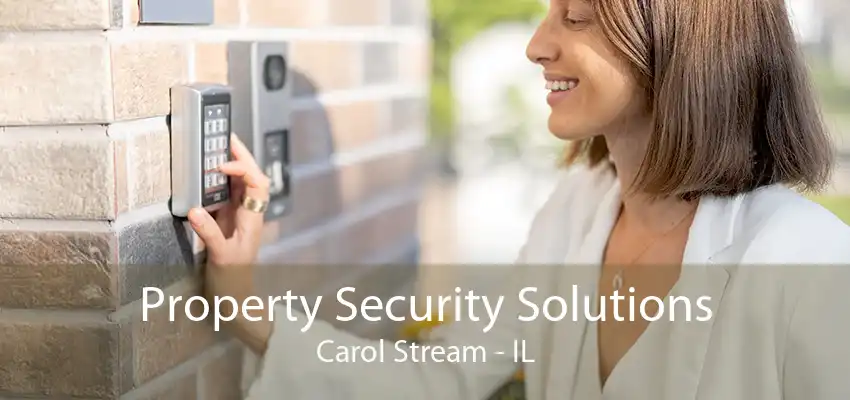 Property Security Solutions Carol Stream - IL