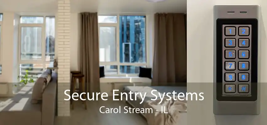 Secure Entry Systems Carol Stream - IL