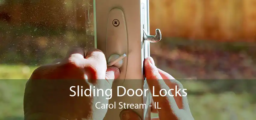 Sliding Door Locks Carol Stream - IL