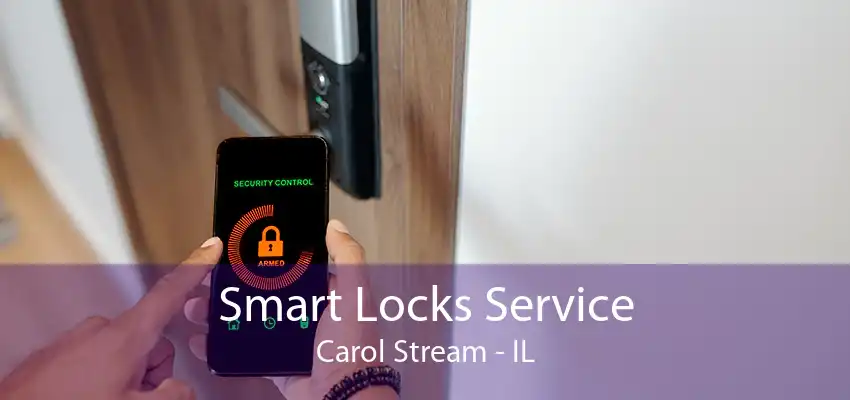 Smart Locks Service Carol Stream - IL