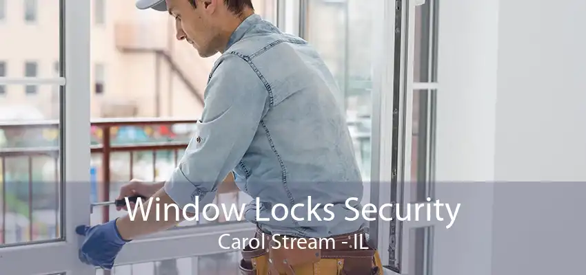 Window Locks Security Carol Stream - IL